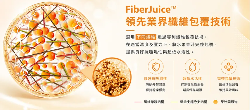 製程附圖2