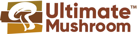 UltimateMushroom™終極菇蕈複合精萃粉
